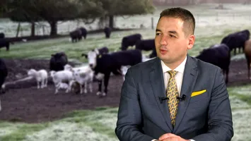 Șeful ANSVSA, Alexandru Bociu, acuzat de luare de mită de către DNA