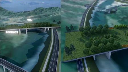 România construiește cel mai mare pod pentru animale. O soluție inovatoare pentru traversarea Oltului