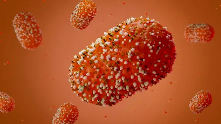 OMS: Reuniunea Comitetului de urgență în legătură cu infecția mpox