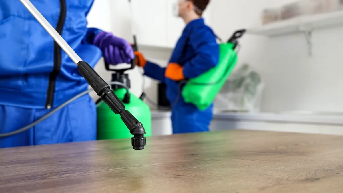 Cum alegi cel mai bun dezinfectant pentru suprafețe? 8 recomandări utile