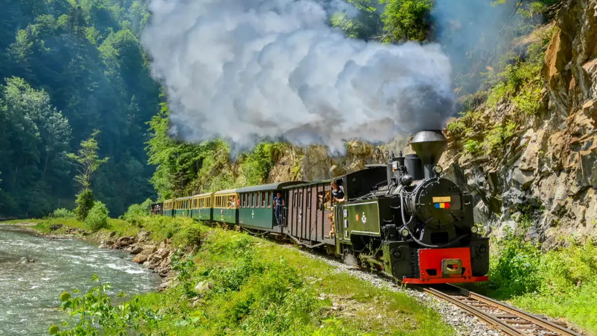 Romsilva, contract de 1 milion de lei pentru firma primarului din Vișeu de Sus