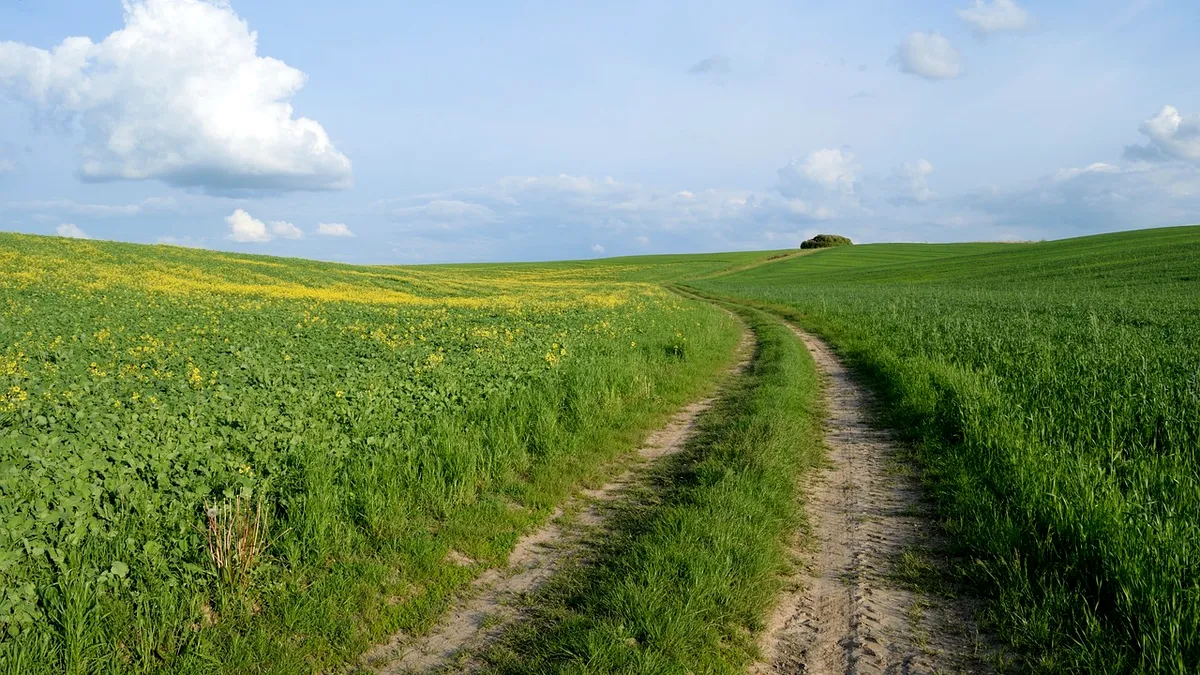 Amendă de 15.000 lei pentru un fermier care a împrăștiat gunoi pe un teren agricol. Motivul, disconfortul olfactiv