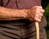 Pensiile celor care au lucrat în agricultură, recalculate. Ce valoare vor avea veniturile acestor pensionari