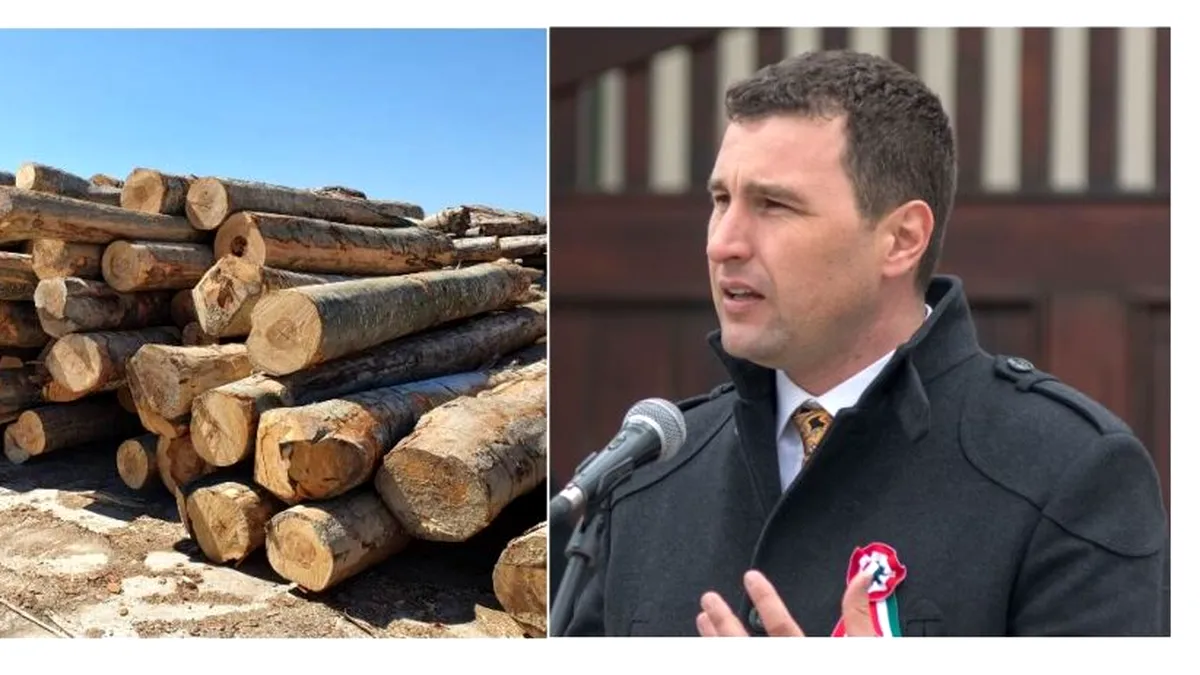 Barna Tanczos vrea să interzică exploatarea masei lemnoase pe timp de noapte