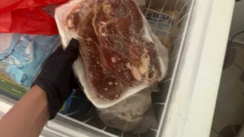 Litoralul, sub lupa ANPC: unități închise temporar, alimente confiscate și sute de nereguli descoperite
