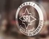 Pe cine ar pune Nicușor Dan șef la SRI