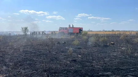 Încă un incendiu de vegetație în Bragadiru