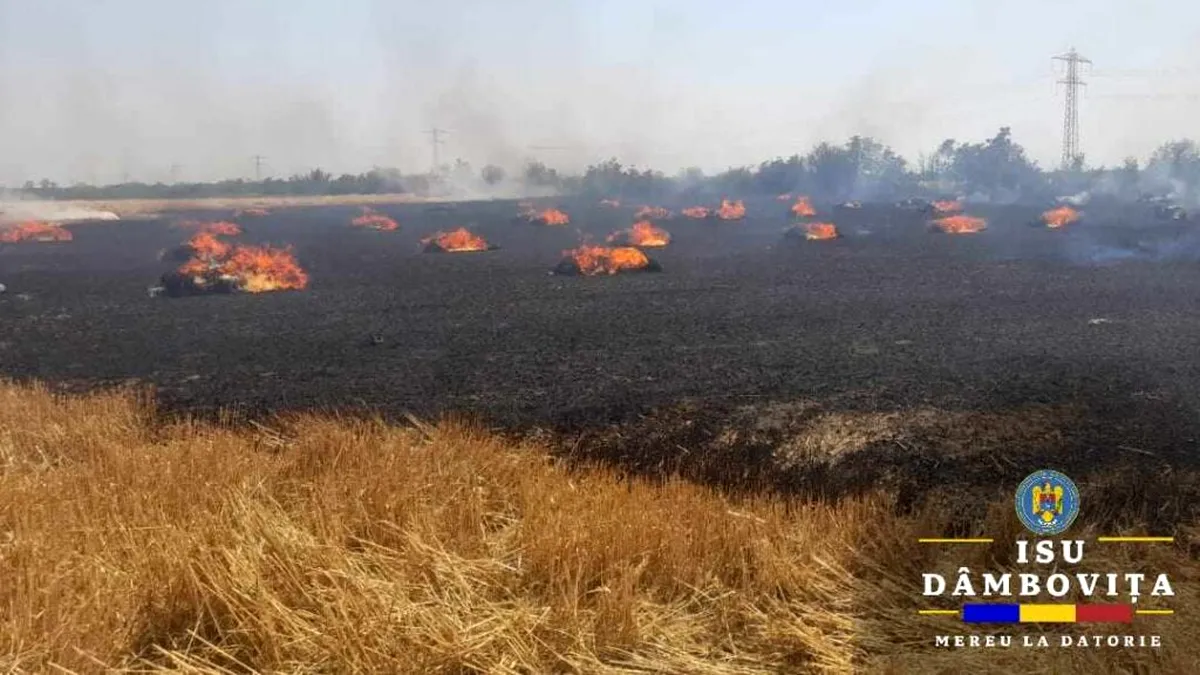 Incendiu puternic în Dâmbovița. Zeci de hectare de grâu au fost cuprinse de flăcări