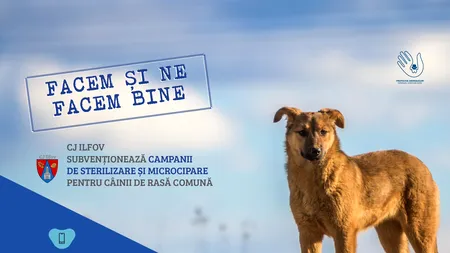 Sterilizări gratuite în Iflov. Hubert Thuma: 