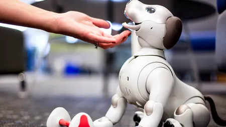 Câinele sau robotul? Cine va fi cel mai bun prieten al omului și dacă mai e loc de iubire