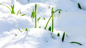 Februarie 2026, între frig intens și momente calde, anunță ANM