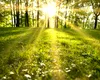 Astăzi este echinocţiul de primăvară. Ziua este egală cu noaptea şi începe primăvara astronomică