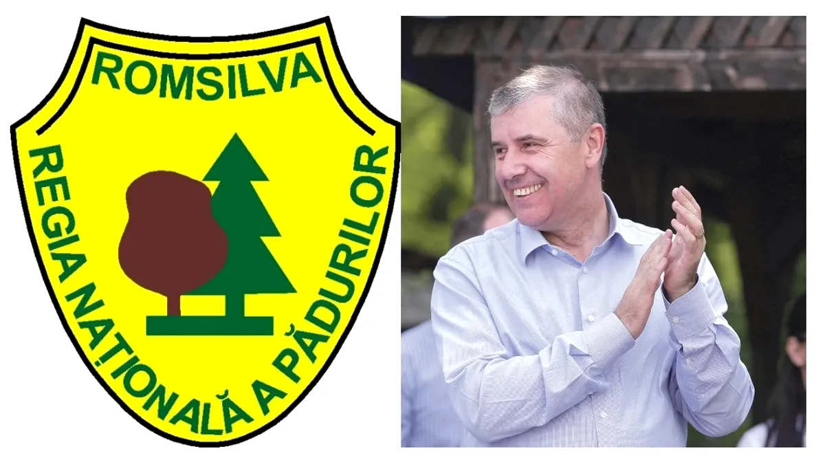 De ce și-a tras SPP cabană de la Romsilva