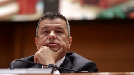Grindeanu, despre un candidat comun la Primăria Capitalei. Șeful PSD explică miza politică