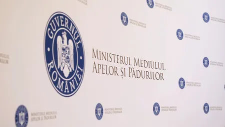 Guvernul României reduce cu 30% numărul posturilor de conducere în cadrul MMAP