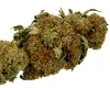 Nou studiu îngrijorător al oamenilor de știință. Marijuana dublează riscul de deces cardiovascular