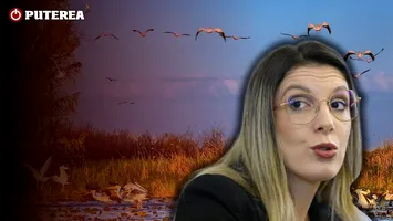 Cum a blocat Diana Buzoianu planul de management al Rezervației Biosferei Delta Dunării, prin care România riscă să returneze Comisiei Europene 9.000.000 de euro