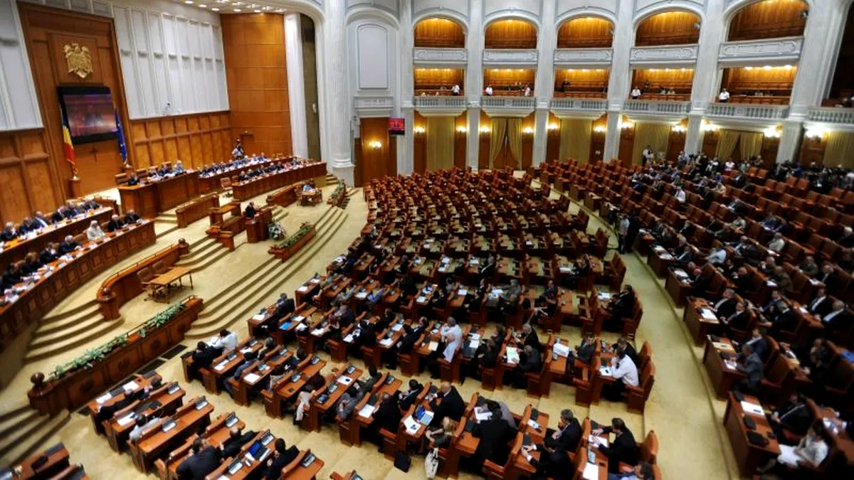 Ședință comună în Parlament pentru numirea unor membri în CNCD și ANRE