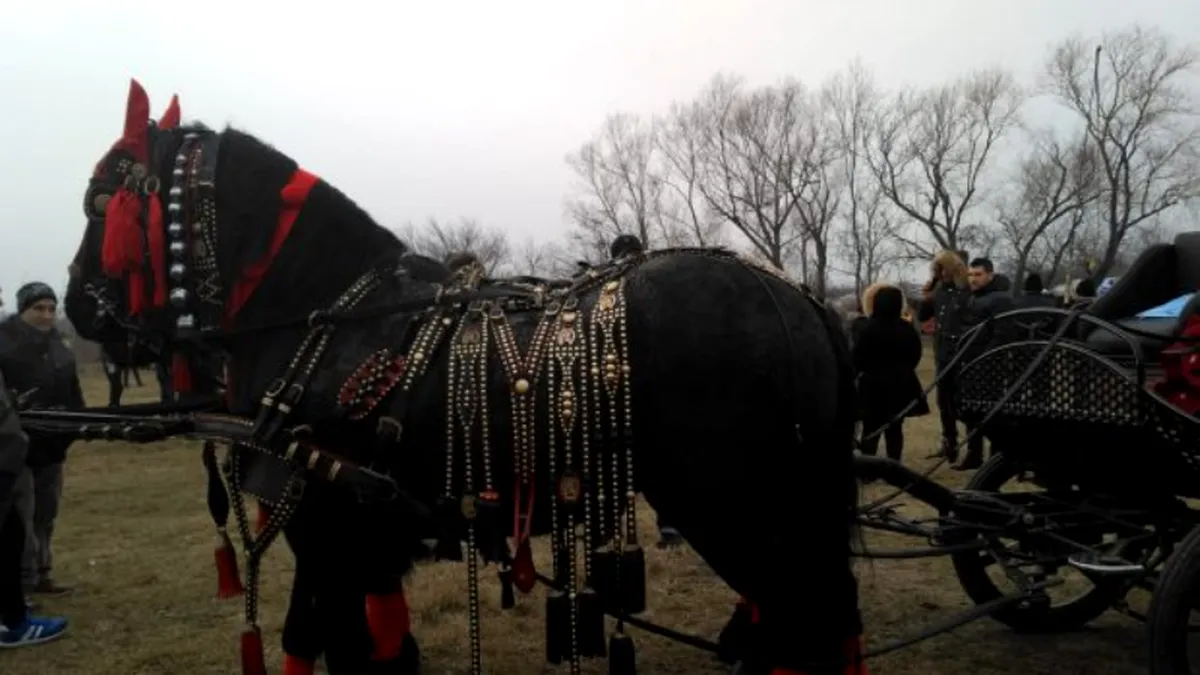 Boboteaza cailor, sărbătorită în Pietroșani, județul Prahova