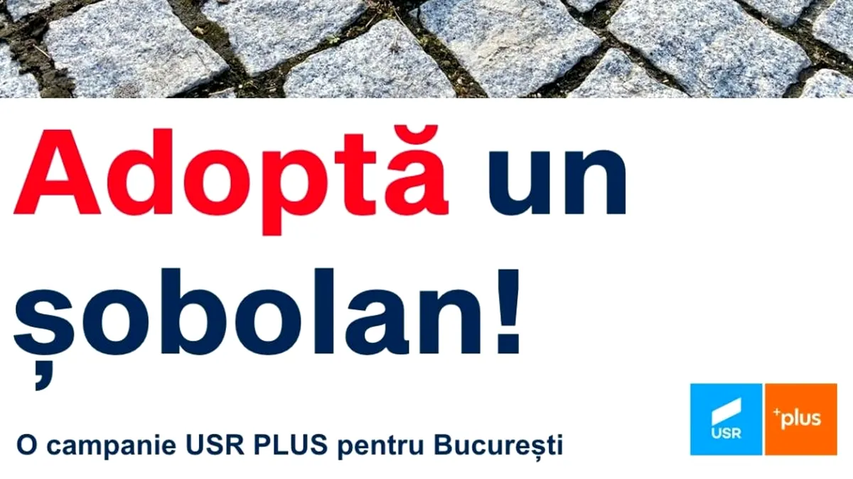 „Adoptă un șobolan”, campanie ironică lansată de PSD la adresa primarului Clotilde Armand