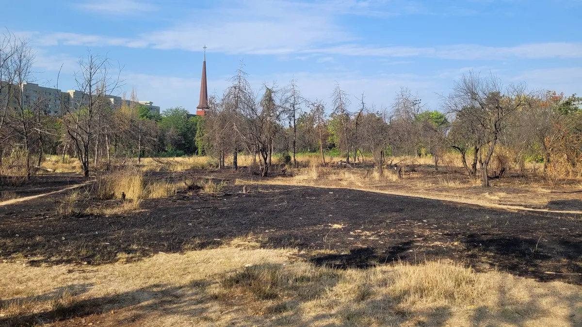 Primarul Sectorului 3 cere să fie salvat parcul IOR măcar în al doisprezecelea ceas