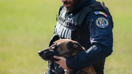 Urgență la Poliția Română: Se angajează 60 de agenți conducători de câini. Lista posturilor disponibile