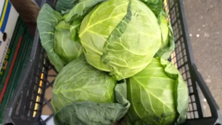 Cât costă prima varză din acest an. În câteva săptămâni, piața va fi plină