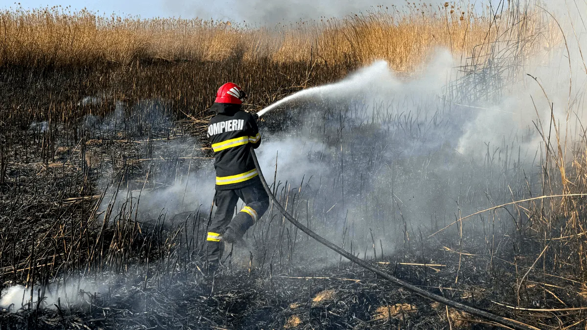 Incendii de amploare în Caraș Severin. Intervine și Armata!