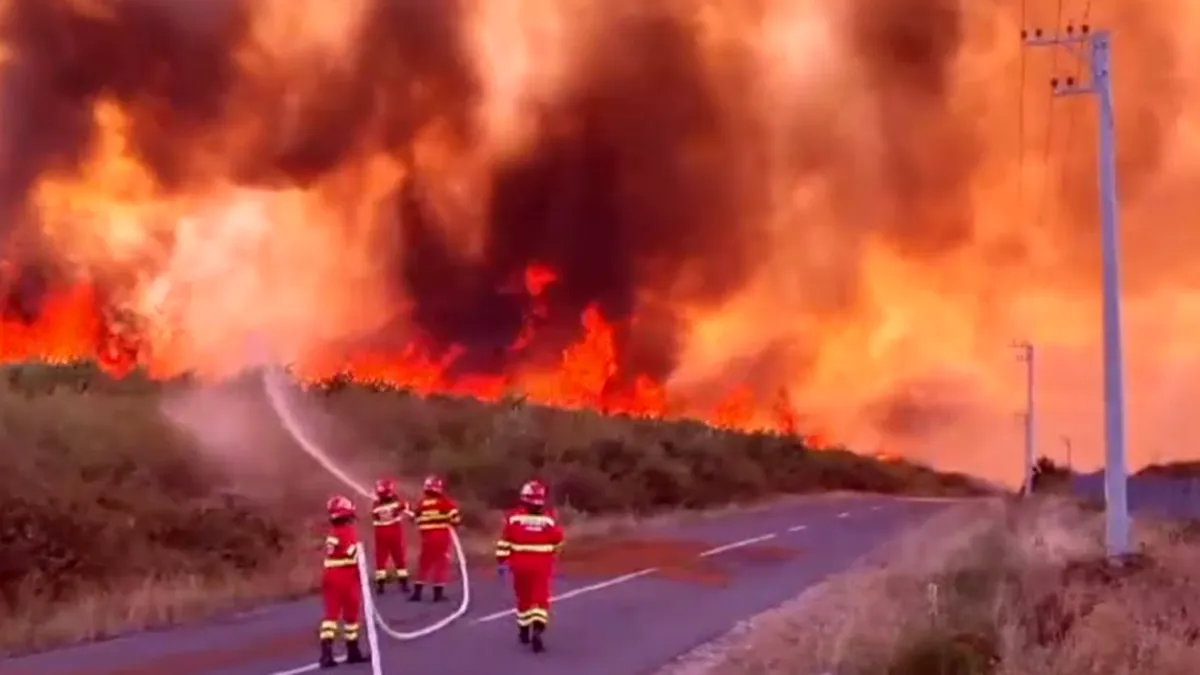 Cel mai mare incendiu din ultimii ani devastează Maramureșul: zeci de oameni evacuați și case afectate