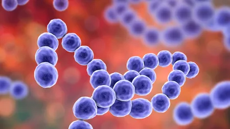 O infecție bacteriană misterioasă, cu forme fulminante, în Japonia