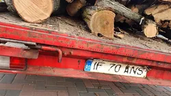 Un camion plin cu lemne pleacă din Parcul IOR. Ce face Poliția? Cine urmărește, de fapt, camionul (VIDEO)