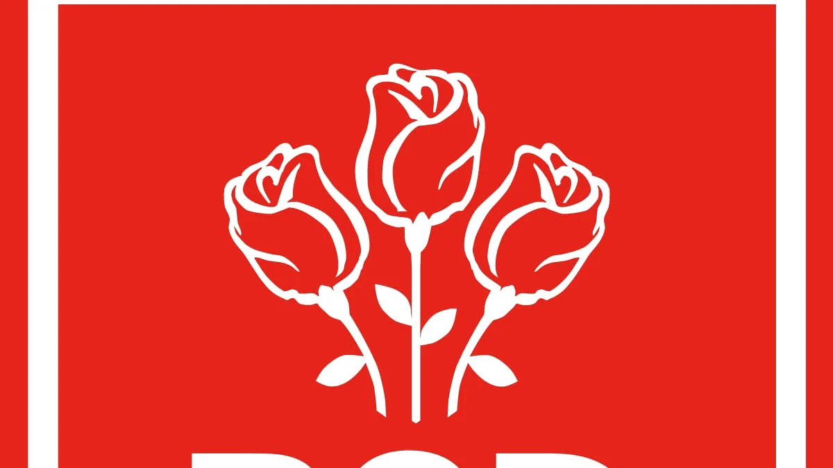Remanierile din PSD se decid la... mare