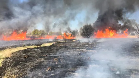 MApN: Incendiu de vegetaţie în Poligonul Babadag, în urma exerciţiilor militarilor francezi; 400 de hectare afectate