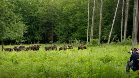 Loc de poveste din România, în Top 100 Destinaţii Sustenabile (VIDEO)