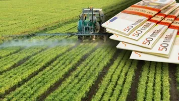 APIA a autorizat la plată peste 97% din totalul fermierilor eligibili în 2024