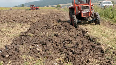 Legea Arendei, declarată neconstituţională de CCR