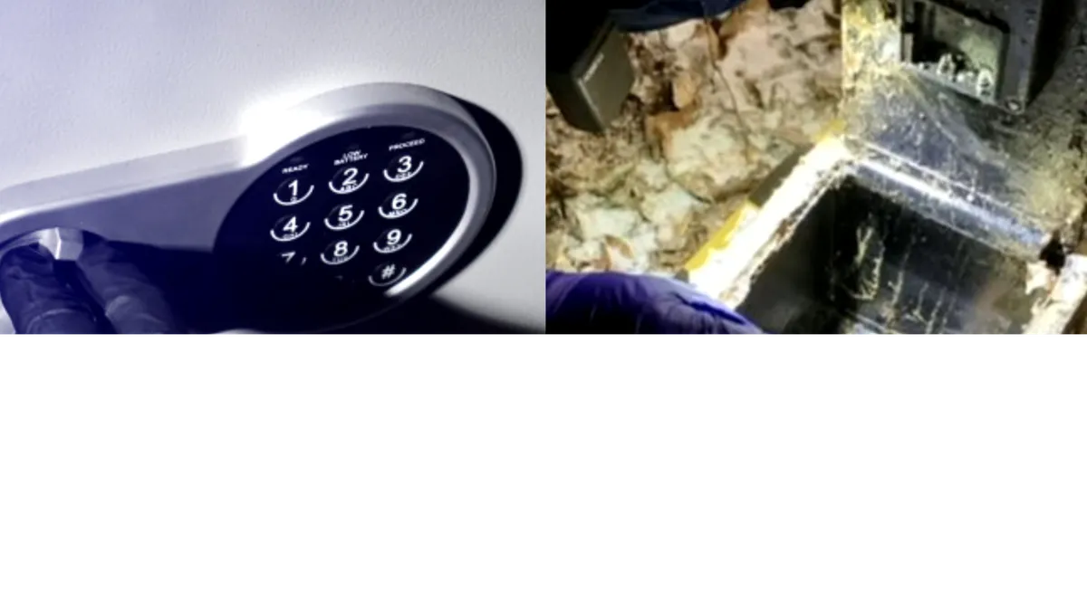 „Comoara” ascunsă într-o pădure din Neamț. Seiful cu 100.000 de euro și bijuterii, găsit de polițiști