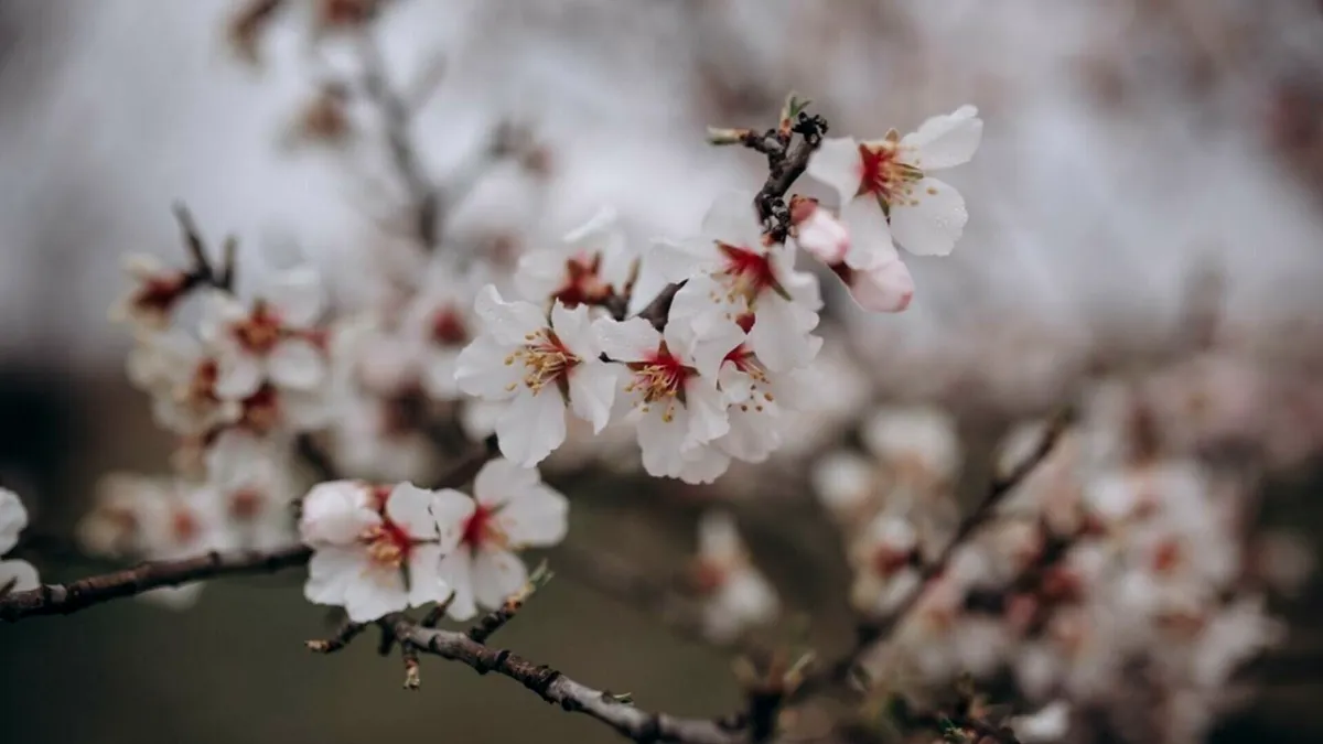 Prognoza meteo pentru aprilie 2025. Se anunță o vară întârziată