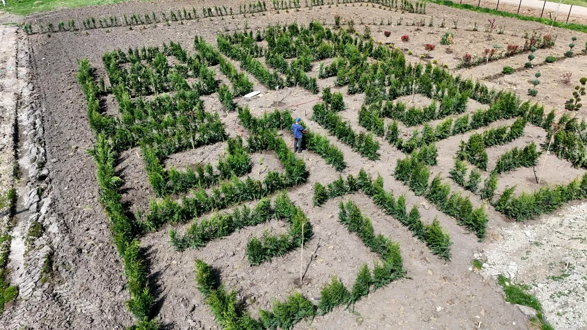 Labirint verde pentru cei mici, creat într-o comună din Dolj