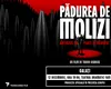 „Pădurea de Molizi”, filmul lui Tudor Giurgiu despre Masacrul de la Fântâna Albă – proiecție specială la Galați