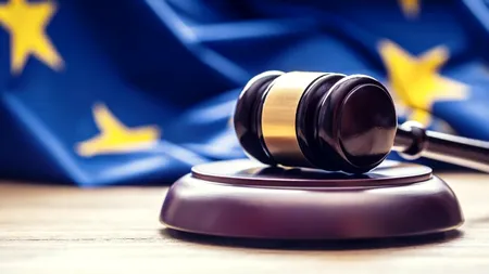 România a pierdut încă un proces la CEDO. Este obligată să restituie pădurile sau să plătească sume colosale drept despăgubiri