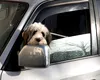 Schimbări în Codul Rutier. Atenție la bagaje și la animalele de companie