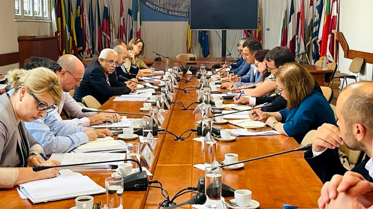 MADR: Numărul angajaților de la ANIF va fi suplimentat
