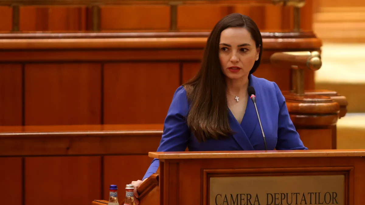 Amenințări în Parlament. Președinta POT: „Să vă luați bagajele și să vă mutați