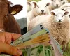 APIA și AFIR au plătit fermierilor aproape 28 milioane de euro, în patru zile