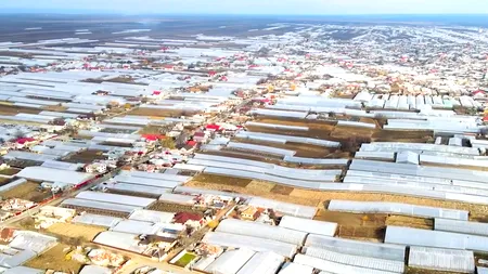 Fermierii din Matca s-au unit într-o cooperativă, prin care accesează finanțări UE și construiesc o fabrică de conserve