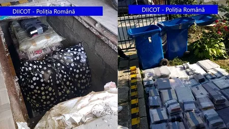 Captură de răsunet, opere în valoare de peste 2,5 milioane de lire sterline