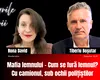 Tiberiu Boșutar: „Mafia lemnului controlează o treime din România”. Mecanismele din spatele tăierilor ilegale de păduri