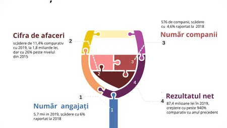 Piața de vinuri 2020: venituri mai mici, profituri mai mari