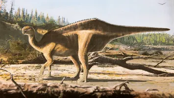 Nouă specie de dinozaur descoperită în Anglia: avea o „velă” spectaculoasă pe spate